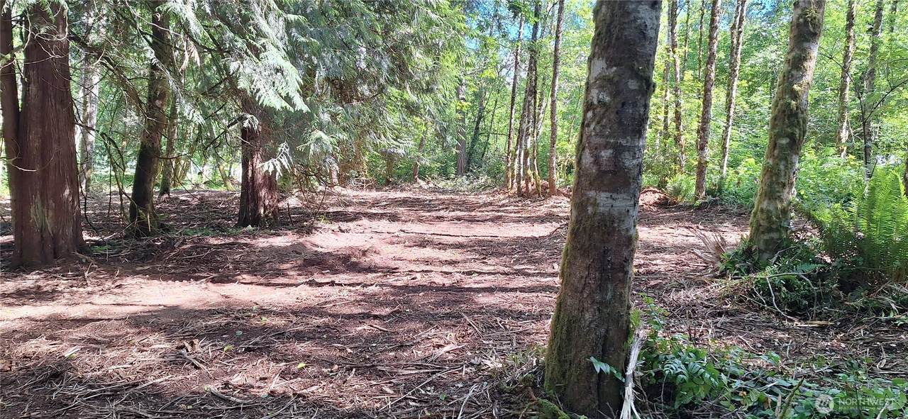 210 Vermillion Road - Photo 1