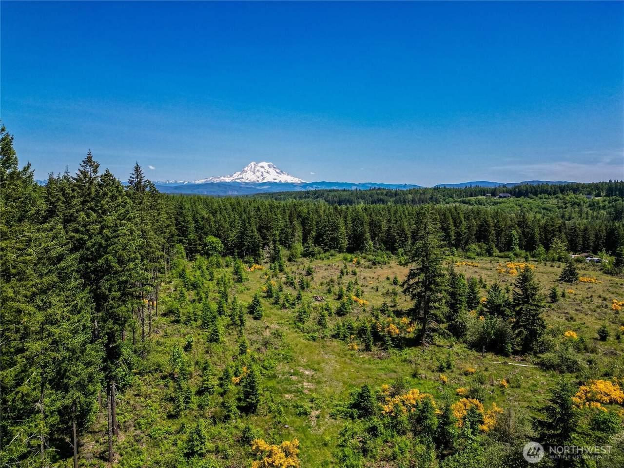 39507 18th Avenue - Photo 1