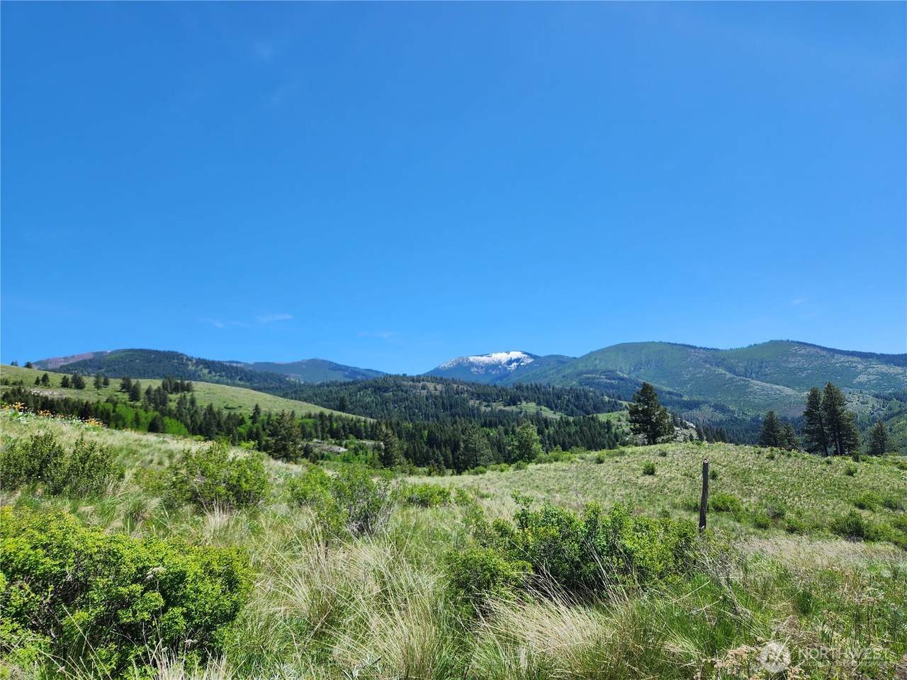 12 Dignity Ranch Road - Photo 1