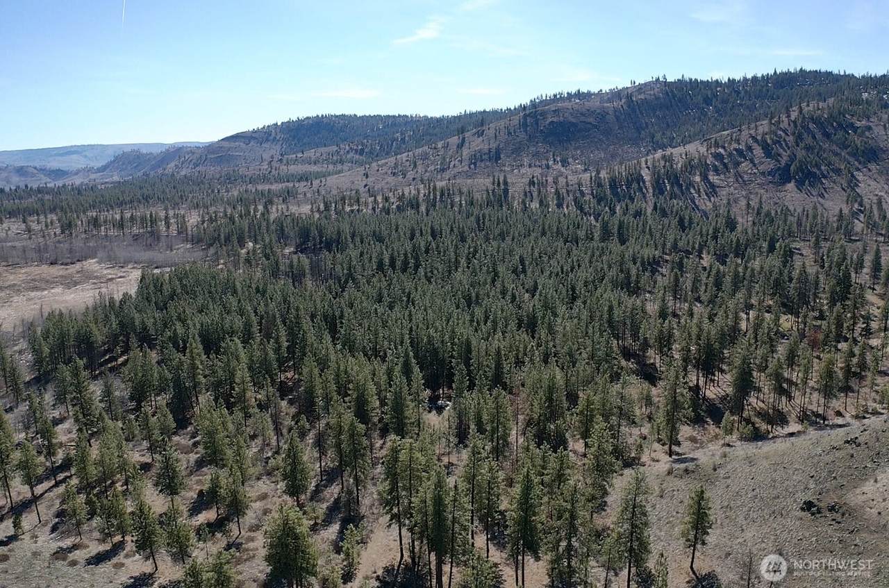 0 NHN Washington Creek Road - Photo 1