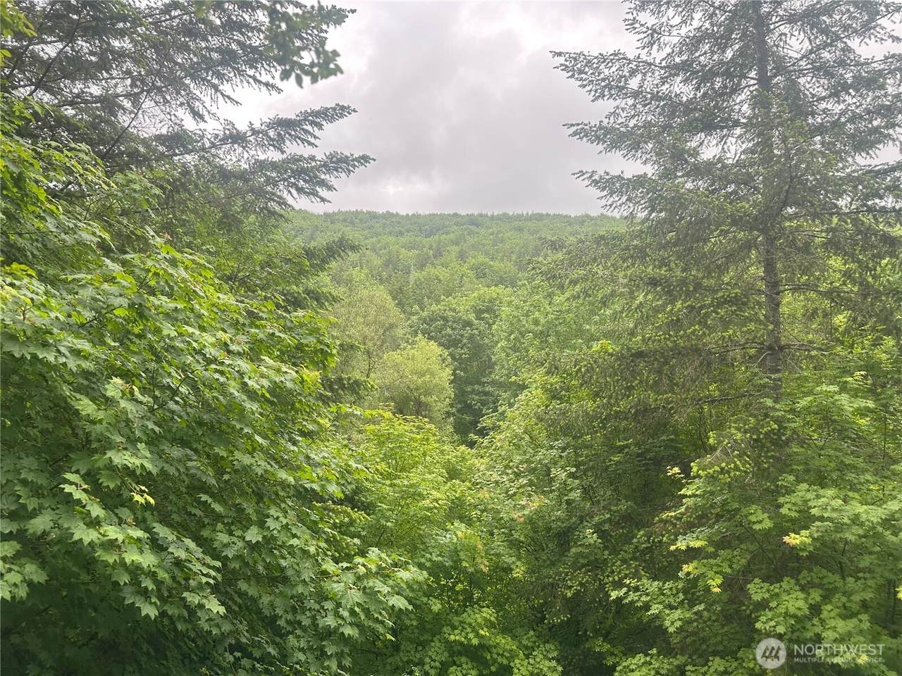 11111 Elkhorn Lane - Photo 1
