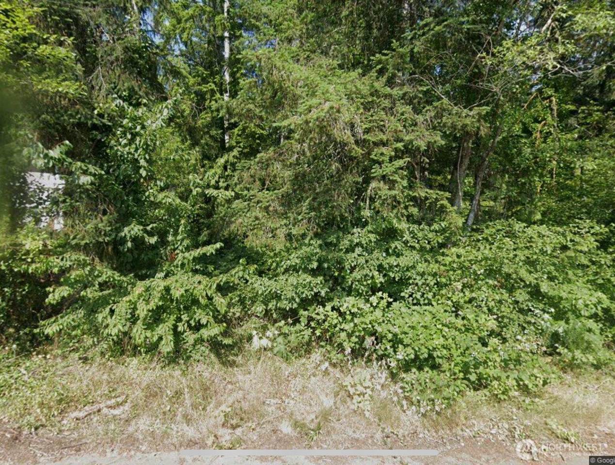 31 Burt Court - Photo 1