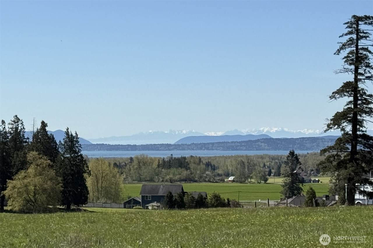 5877 26th Crest - Photo 1
