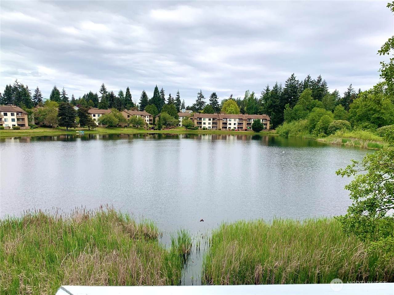 31003 14th Avenue - Photo 1