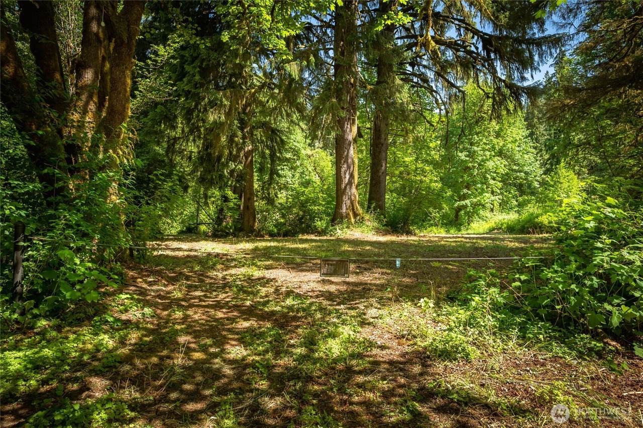 22315 River Drive - Photo 1