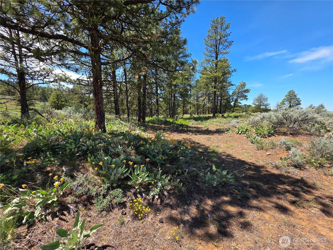 101 Wren Nest Road - Photo 1
