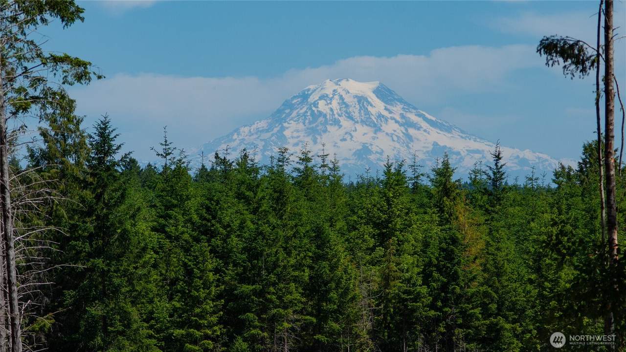 20 Cascade View - Photo 1