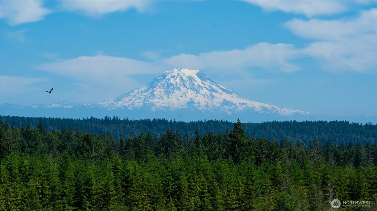 1 Lot Cascade View - Photo 1