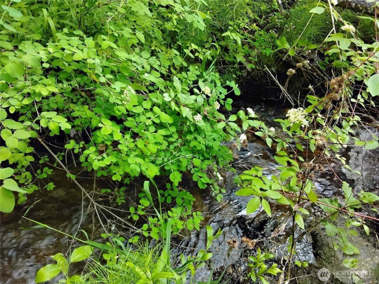 0 Siwash Creek Road - Photo 1