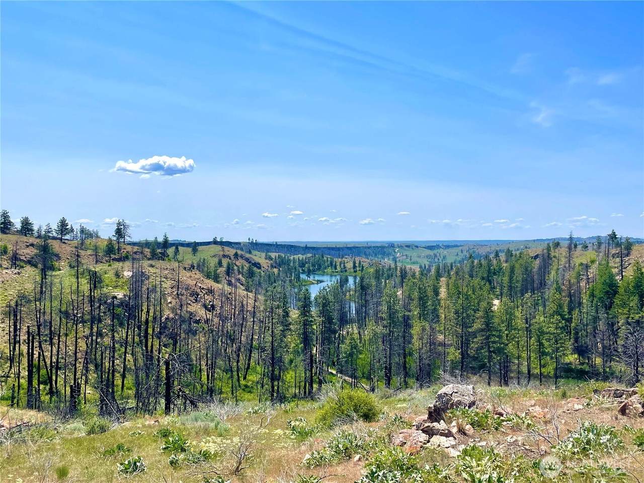0 TBD Madd Mtn Road - Photo 1