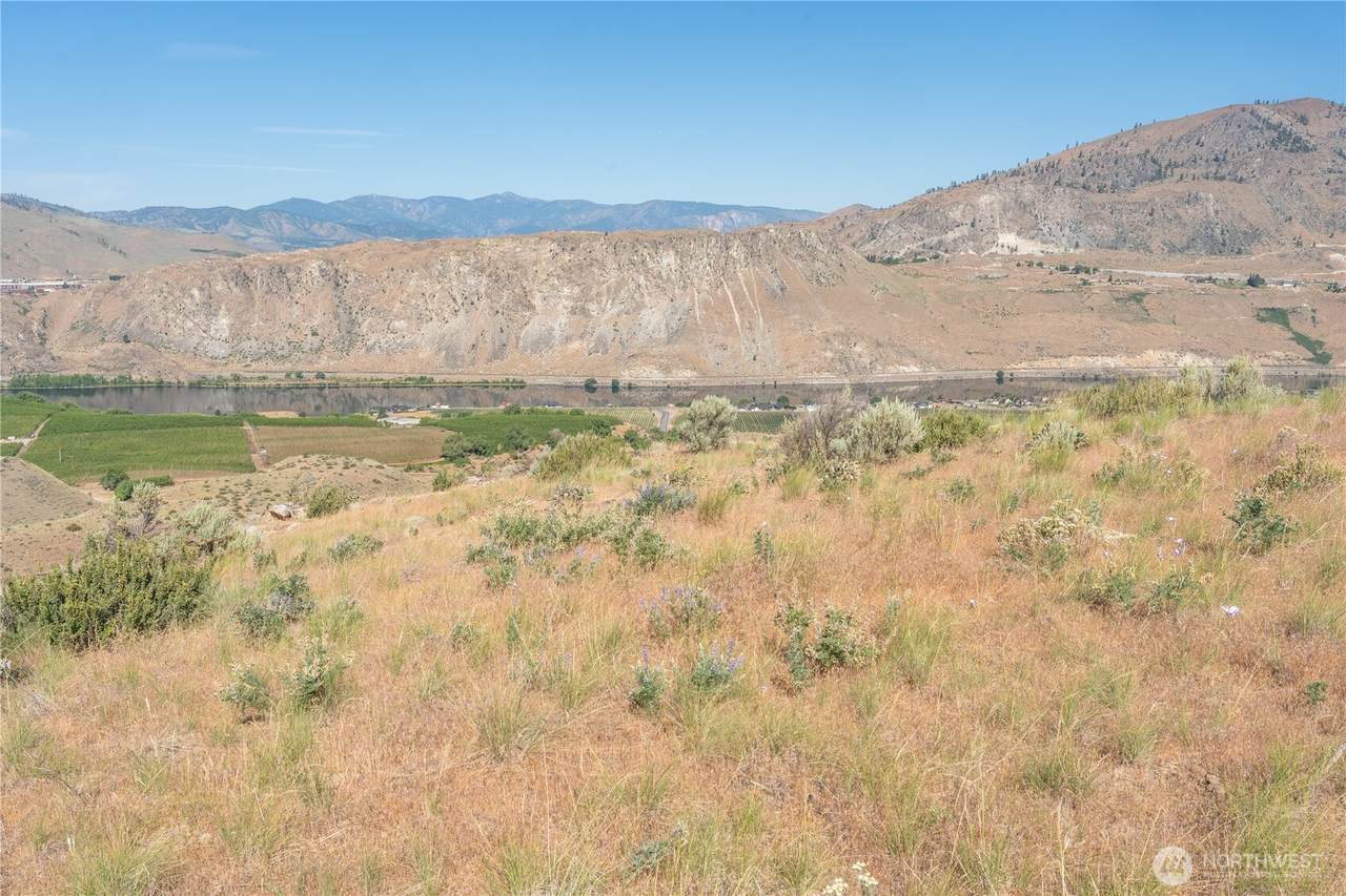 0 Tract 6 Mcneil Canyon Rd - Photo 1