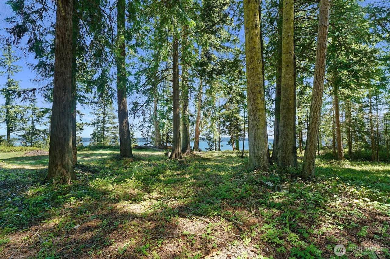 2515 Bretland Road - Photo 1