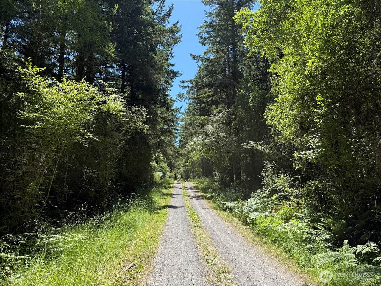 0 Thimbleberry Lane - Photo 1