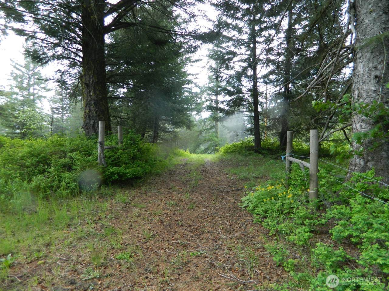 0 Tbd Tobys Mill Road - Photo 1