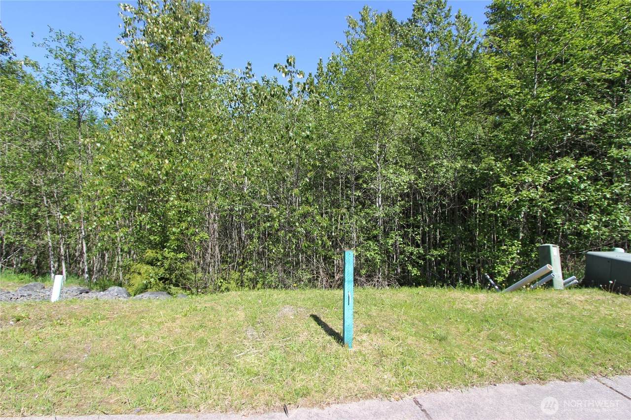 4619 Beaver Pond Drive - Photo 1