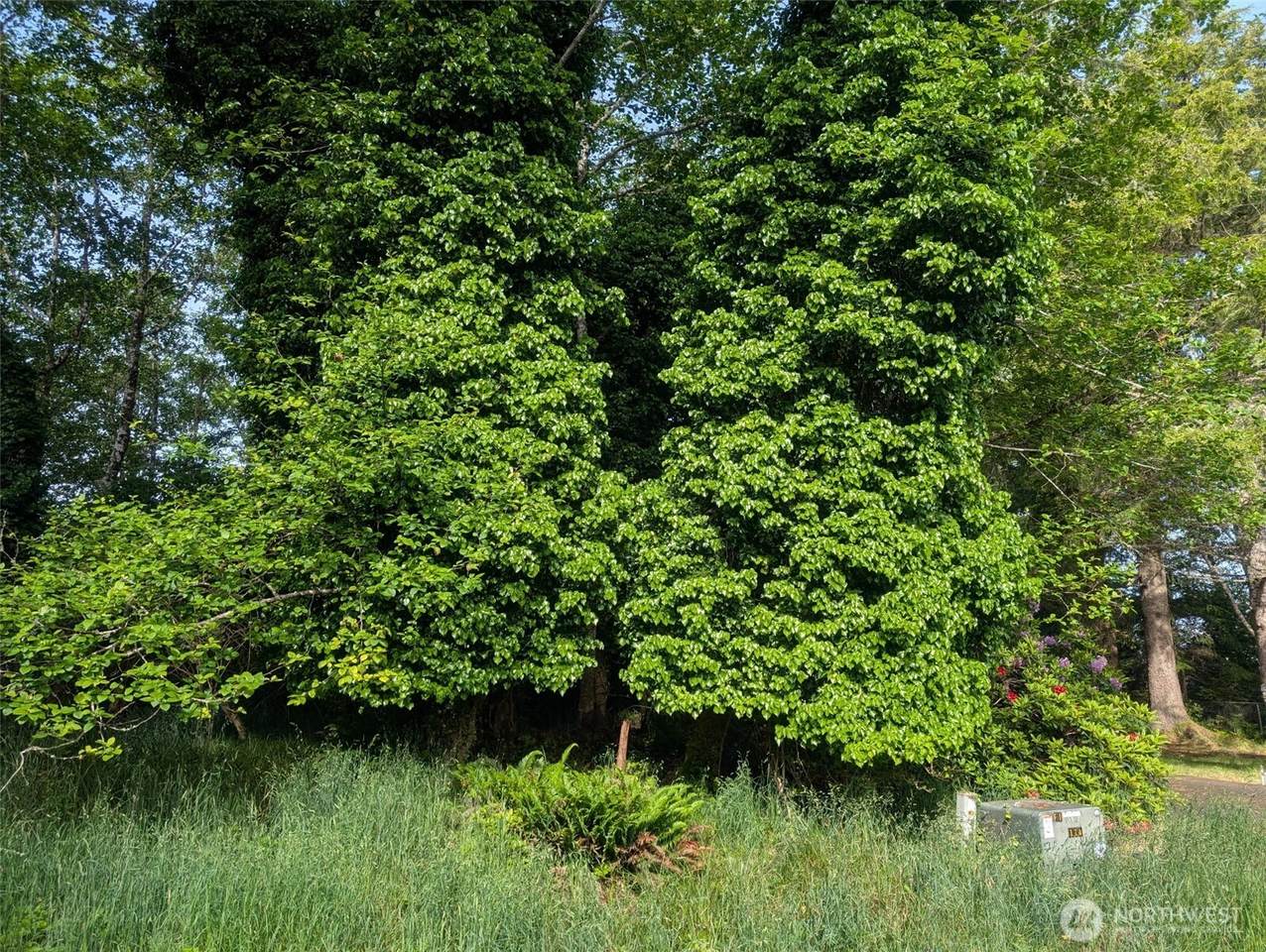 413 Lake View Loop - Photo 1