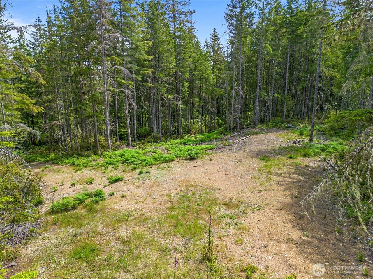 905 Tahuya Blacksmith Road - Photo 1