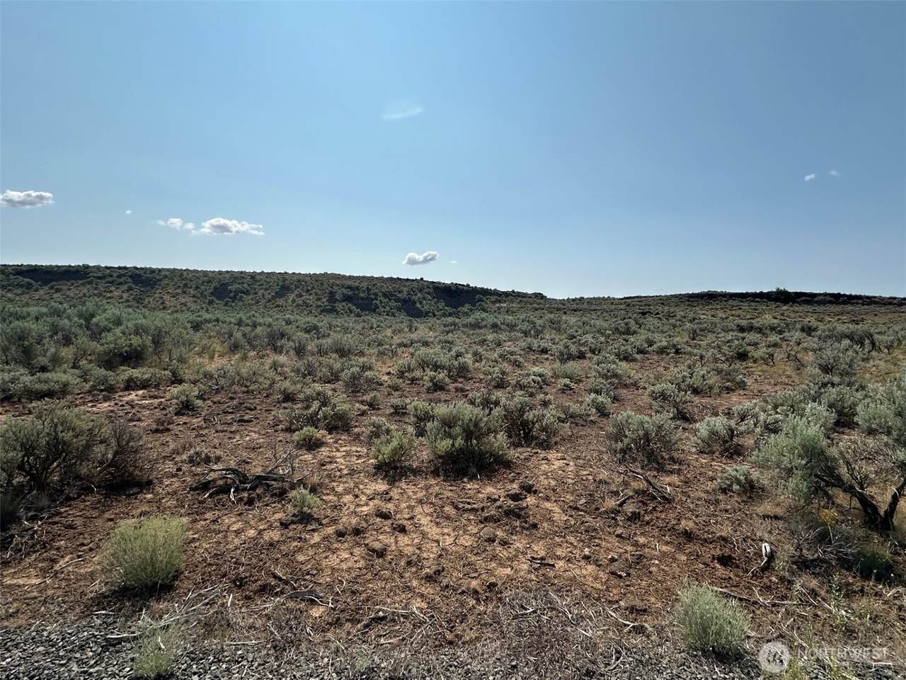 43192 Texas Loop - Photo 1