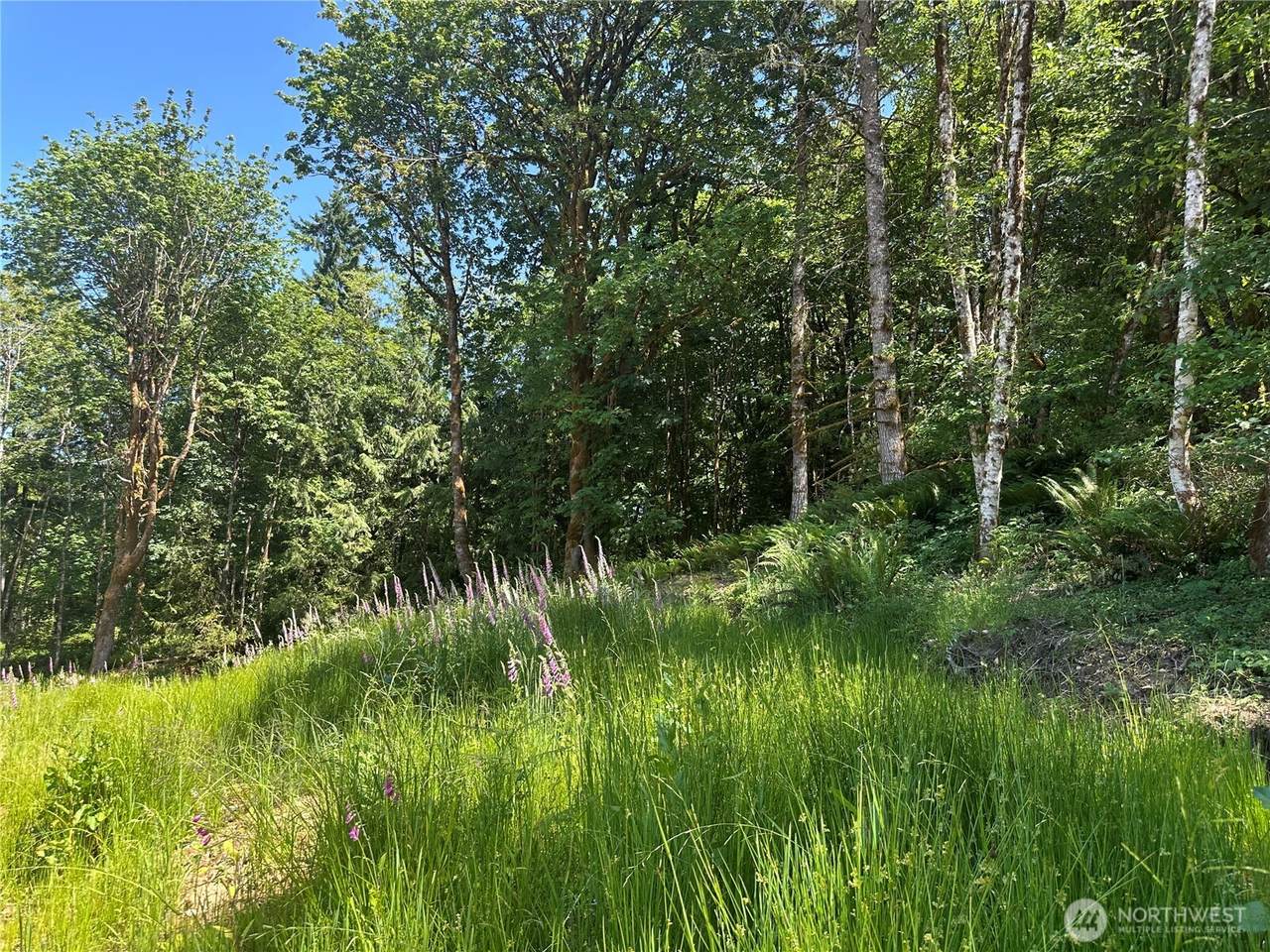 44 Acres Mccary Road - Photo 1