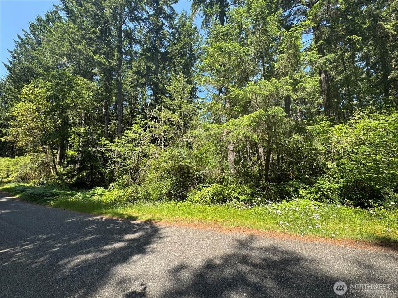 11409 & 11413 Hillcrest Drive - Photo 1