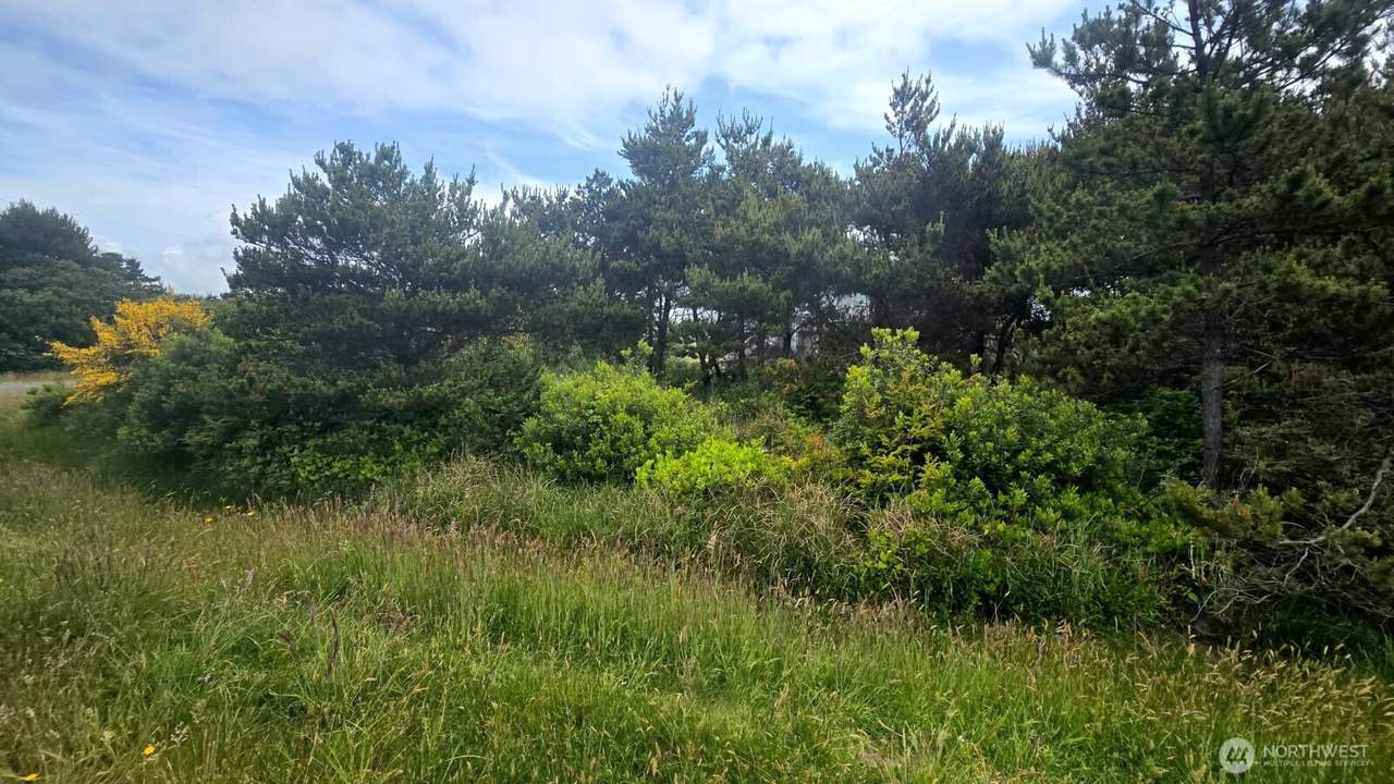 788 Sand Dune Avenue - Photo 1