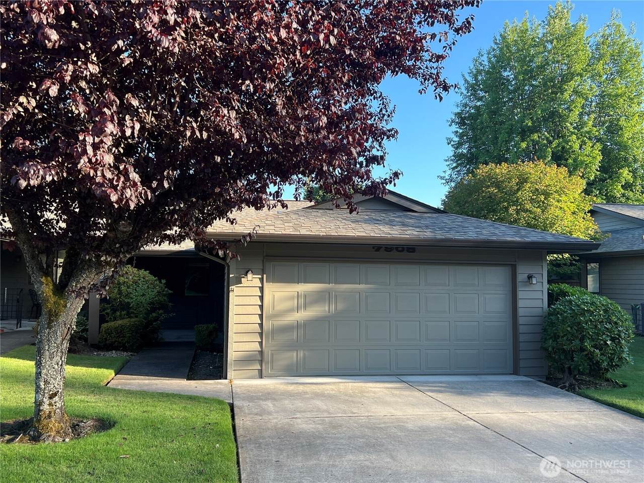 7908 53rd Street - Photo 1