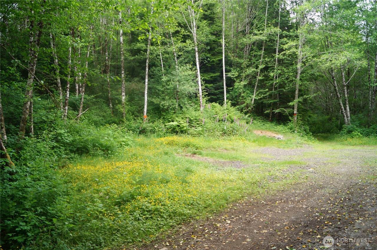 0 Off of Panhandle Road - Photo 1