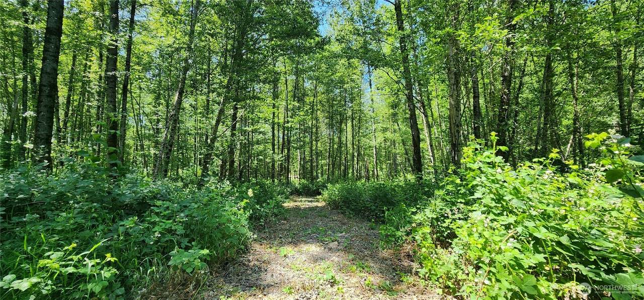 1230 Silverbrook Road - Photo 1