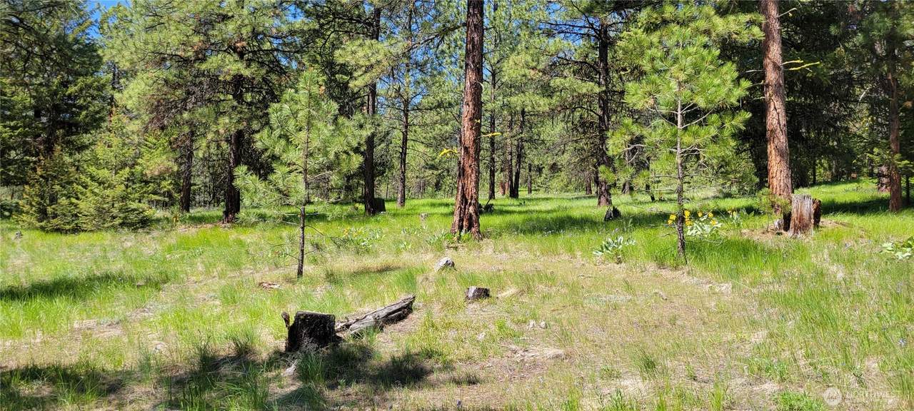 374 Bench Creek Road - Photo 1