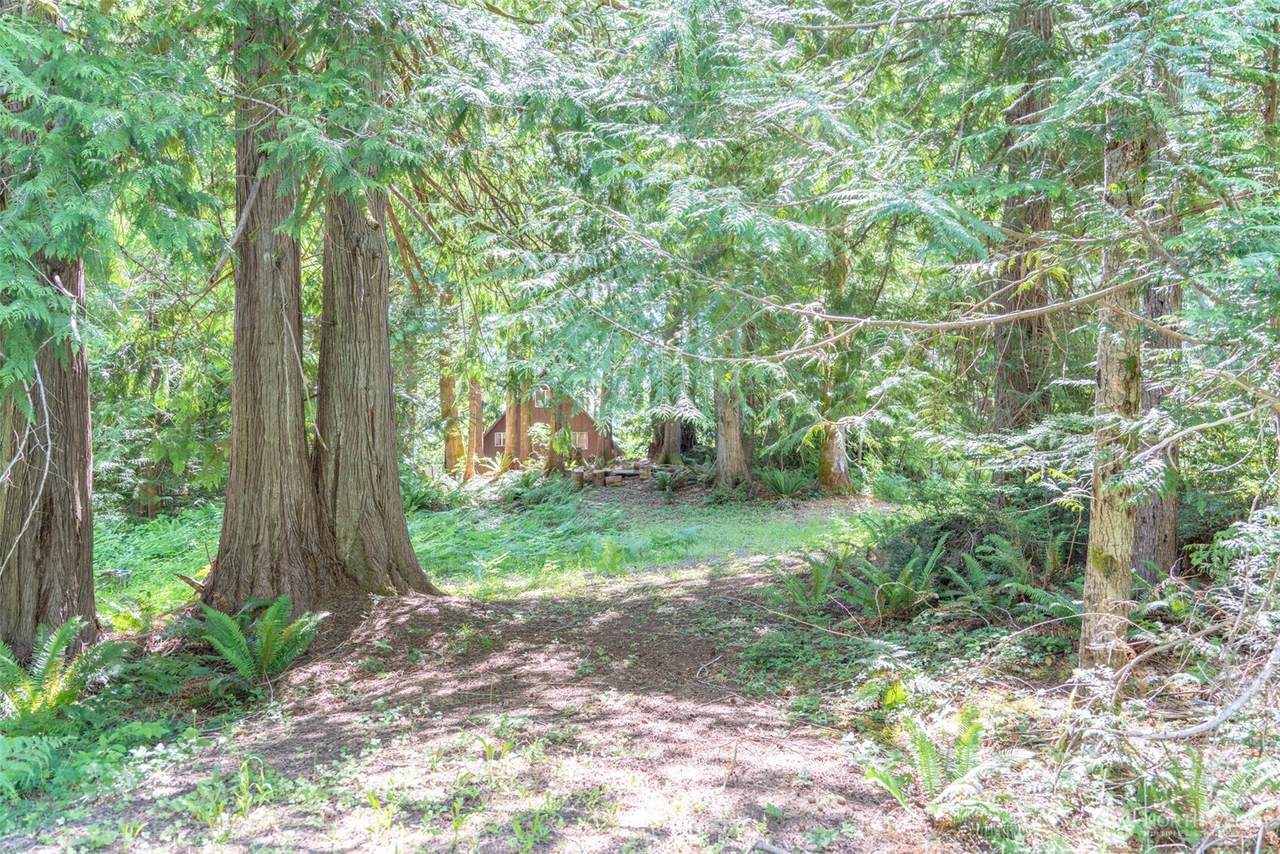 0 Maple Avenue - Photo 1