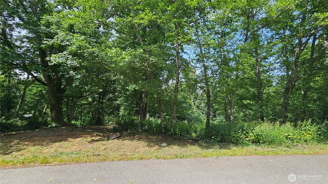 304 Dove Drive - Photo 1