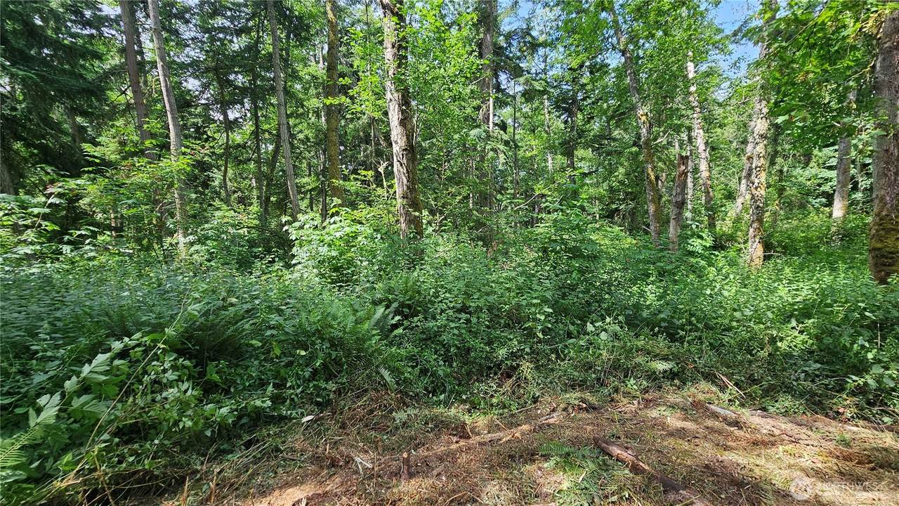 0 xxxb Dove Drive - Photo 1