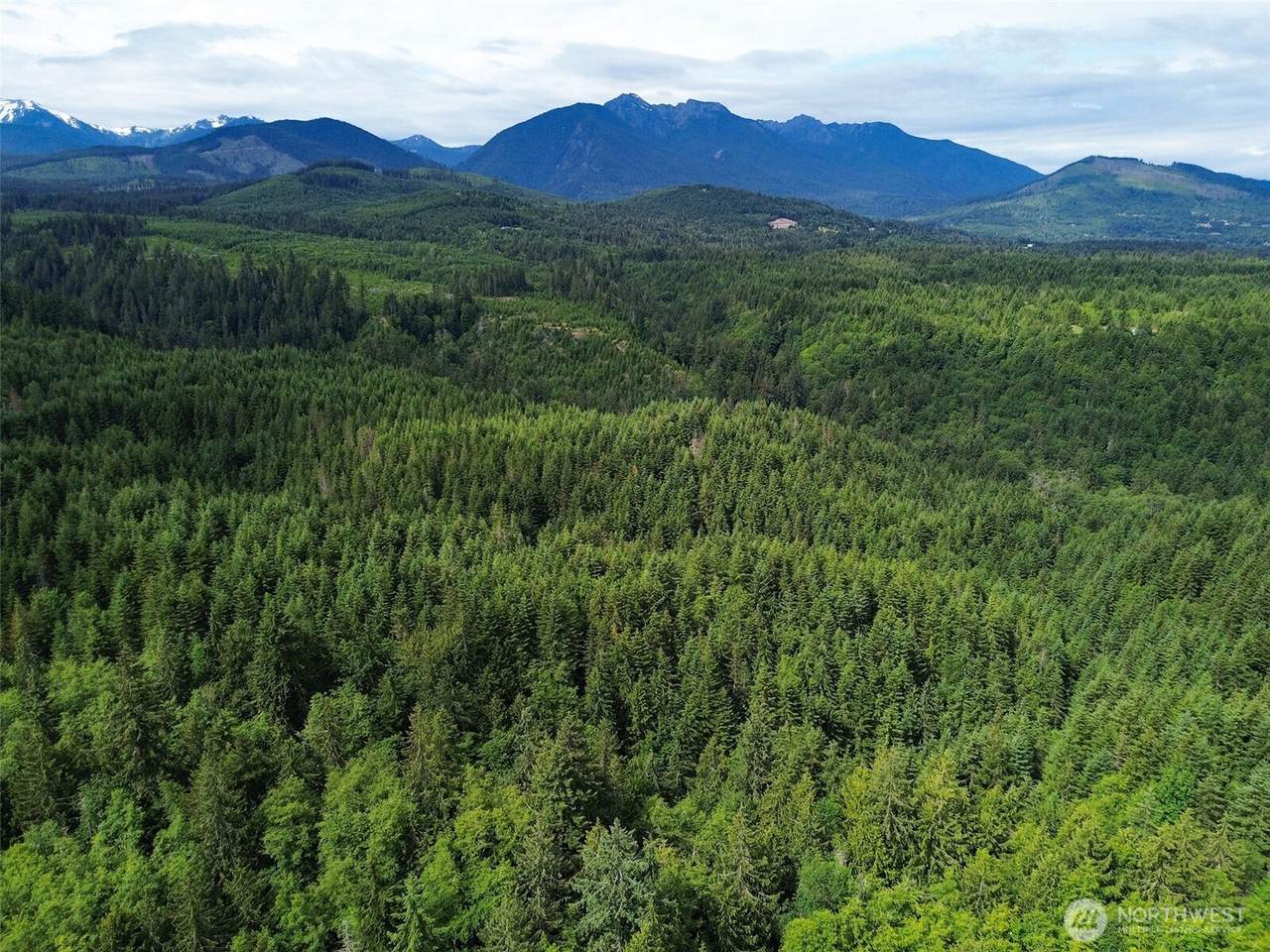 9999 Blue Mountain Road - Photo 1