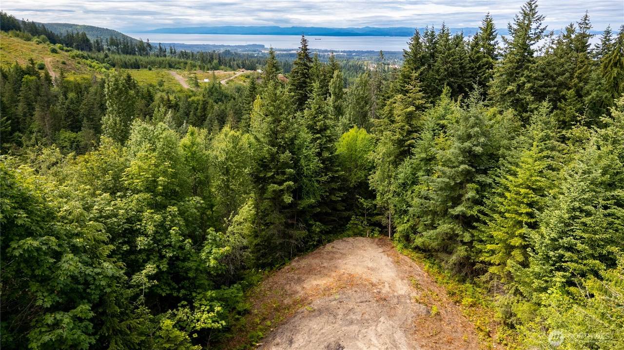 9999 Old Mill Road - Photo 1