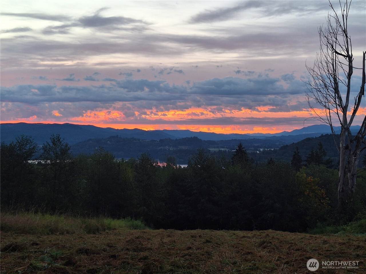 132 Salem Plant Road - Photo 1