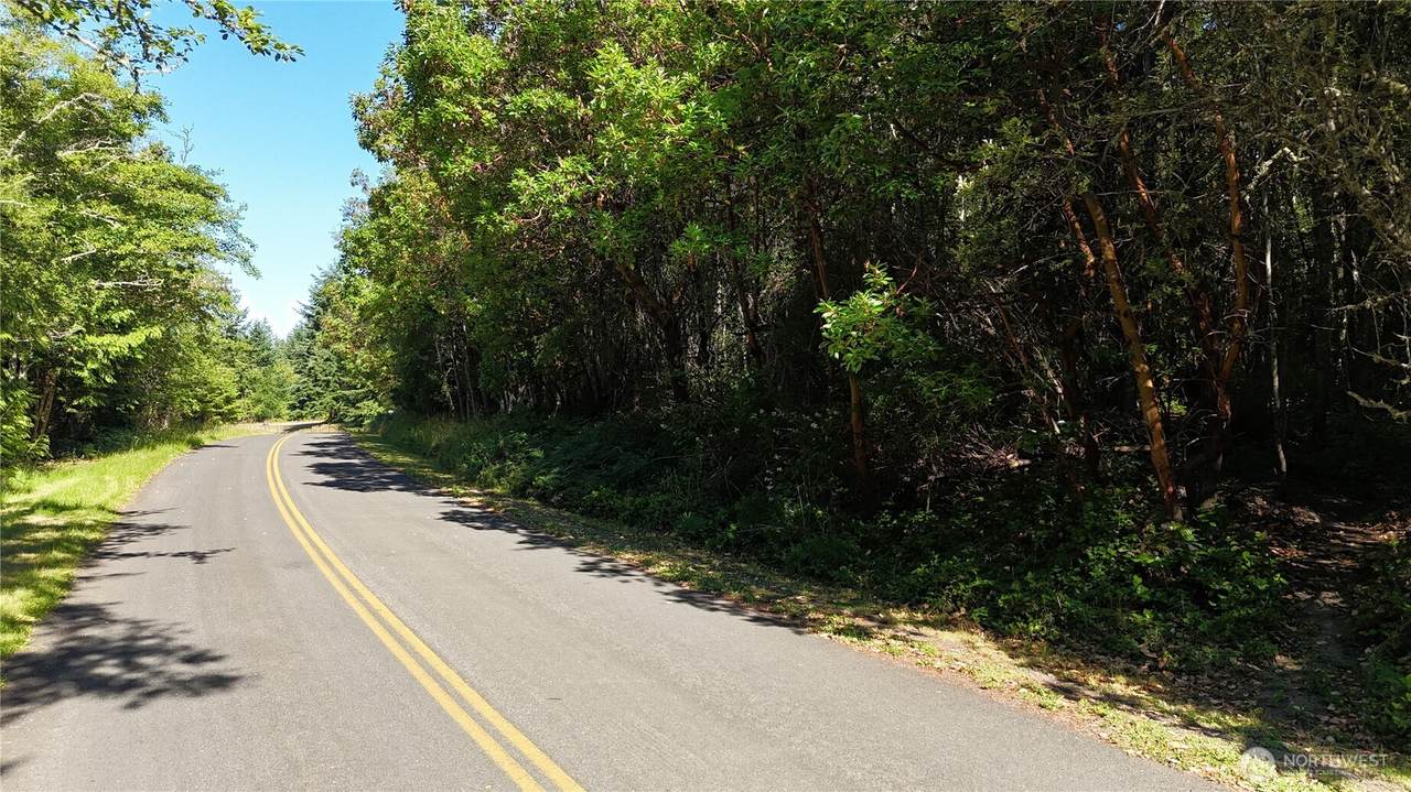 0 Woodland Drive - Photo 1