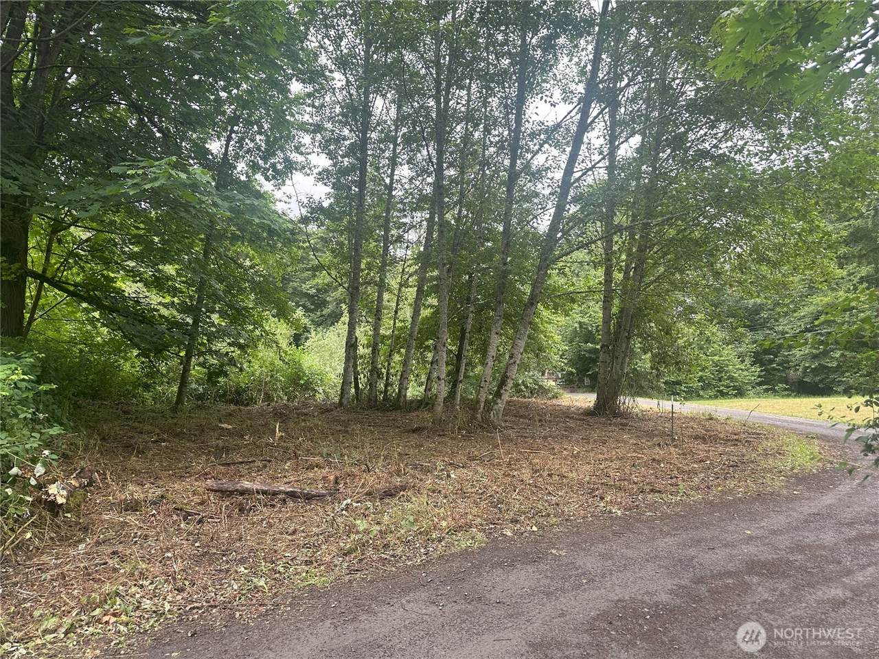 0 Skidder Hill Road - Photo 1