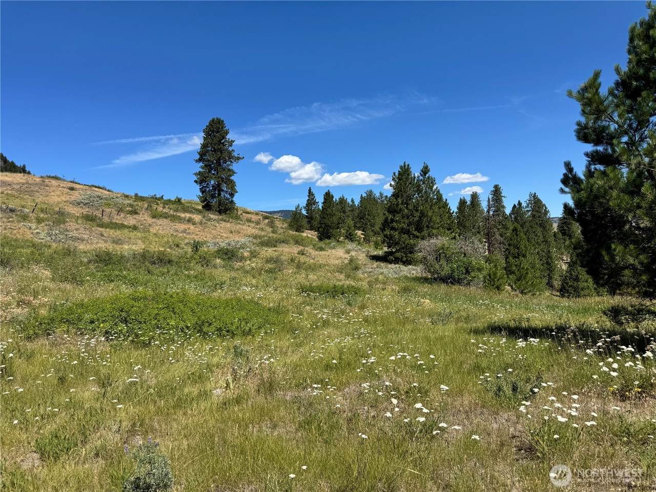 1 A Lundimo Meadows Road - Photo 1