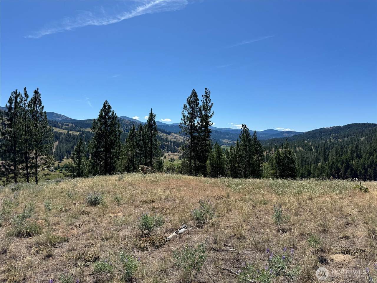 2 B Lundimo Meadows Road - Photo 1