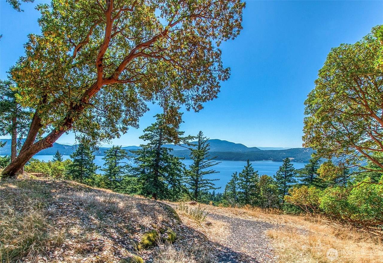 64 Hammond Lane - Photo 1