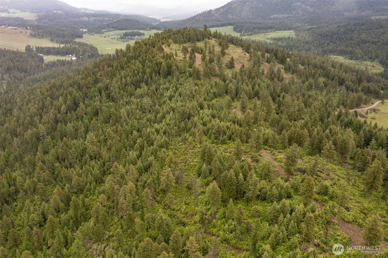 2420 A Cedonia Addy Road - Photo 1