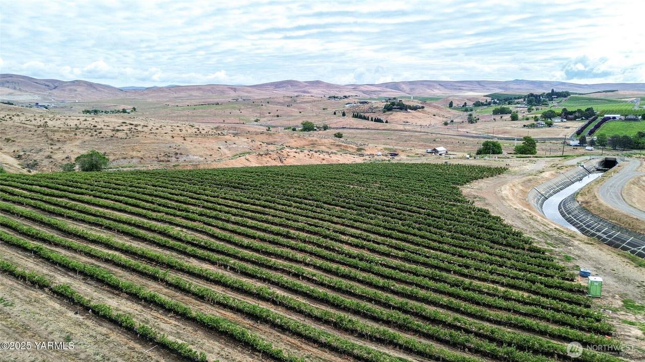 0 Cheyne Road - Photo 1