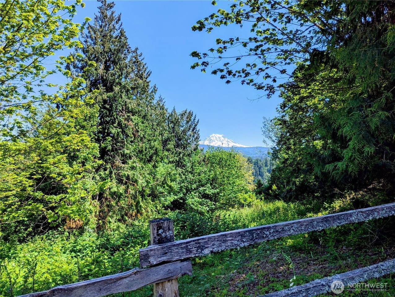 23105 165th Avenue - Photo 1