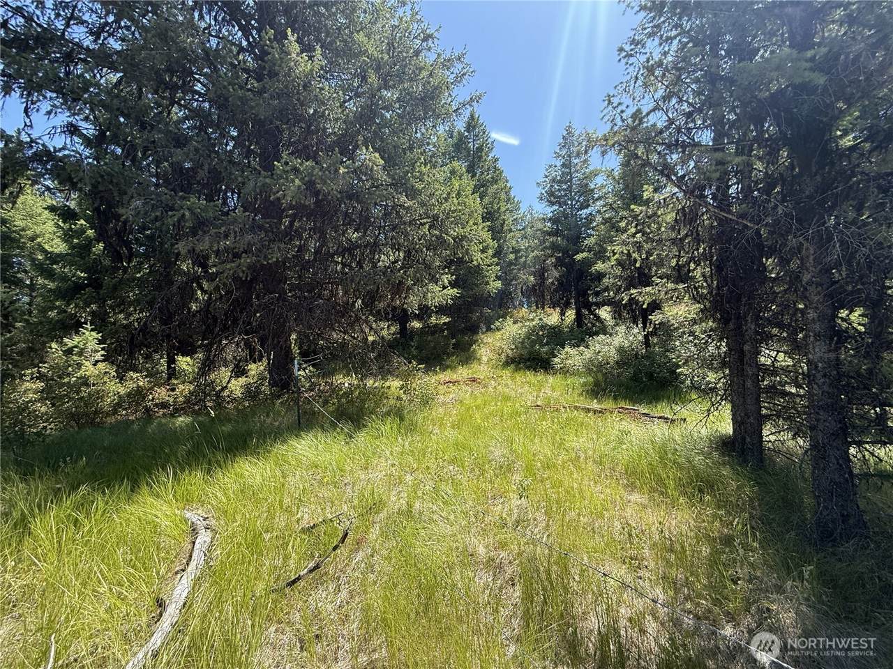 135 Slippery Hill Lane - Photo 1