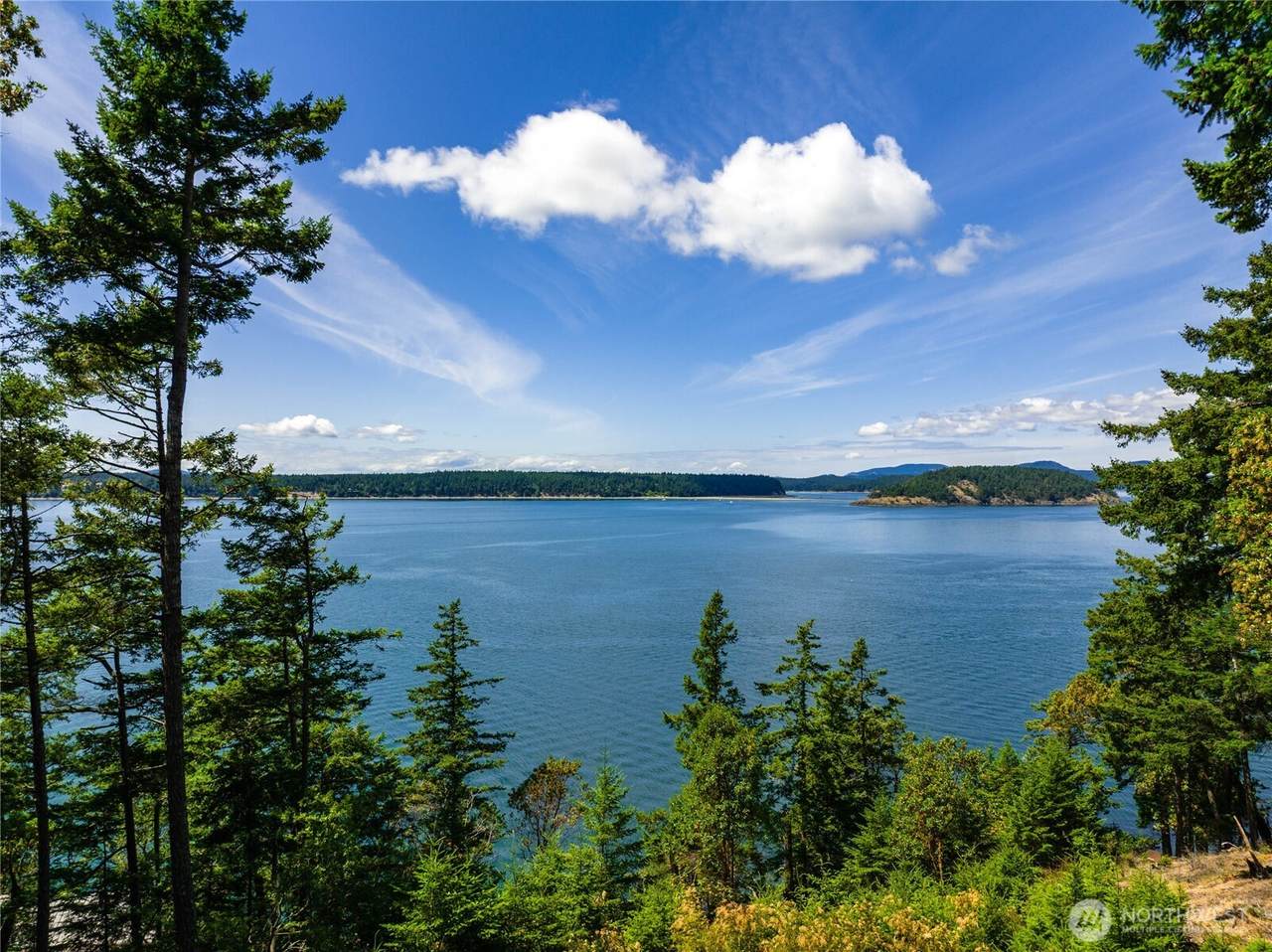 0 EC-19 East Cove Road - Photo 1