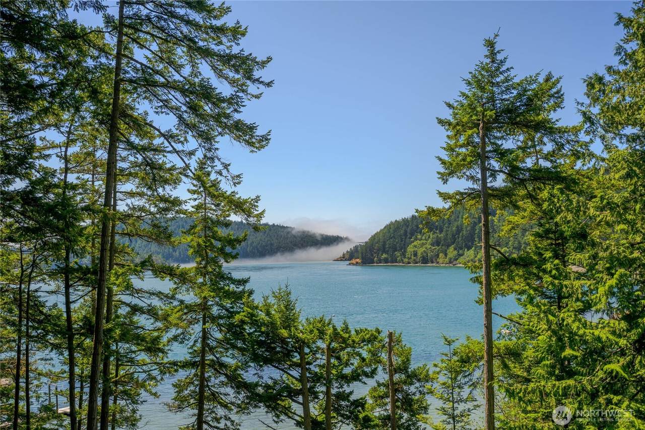 15780 Quiet Cove Drive - Photo 1