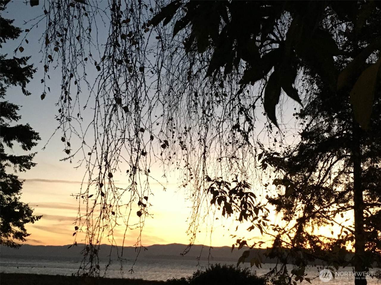 26810 Sandridge Road - Photo 1