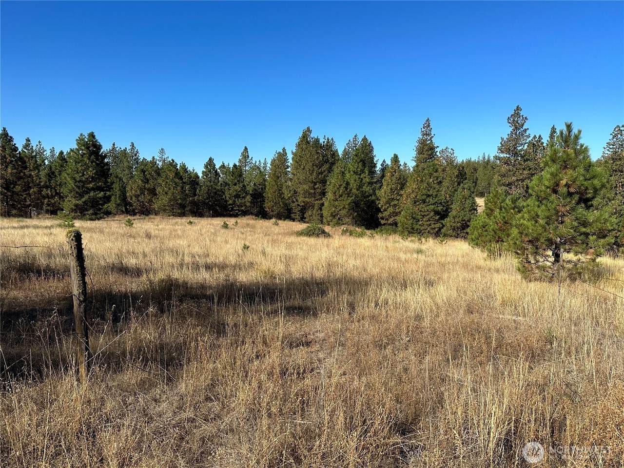 0 Three Mountains Meadows - Photo 1