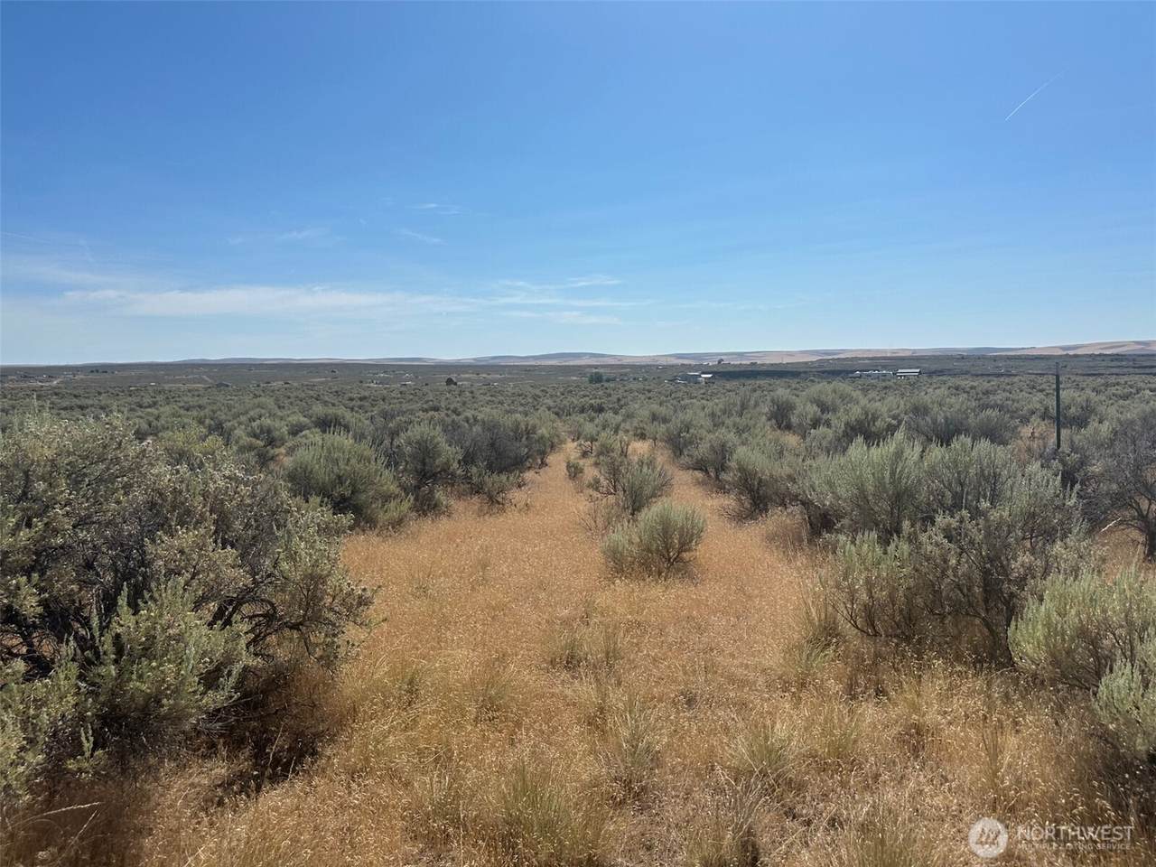 1540 Paso Fino Drive - Photo 1