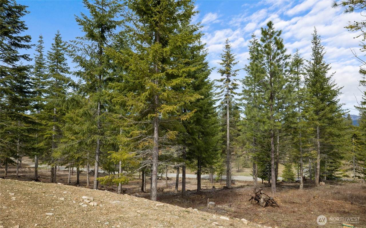 73 Liberty Bell Lane - Photo 1